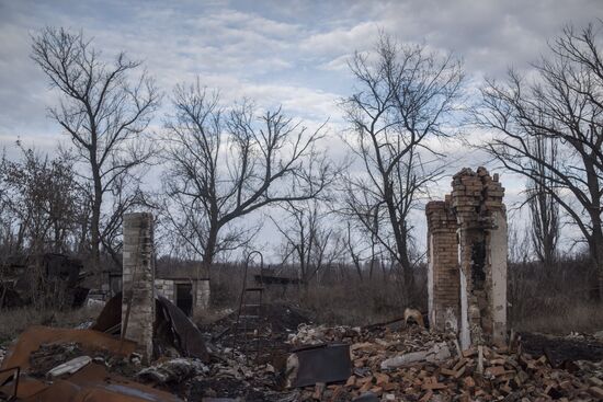 Ukraine DPR LPR Conflict