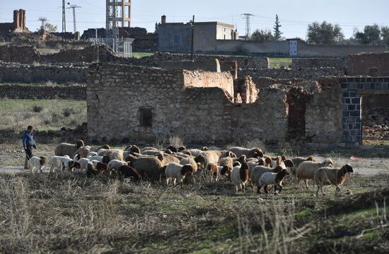 Syria Qasr Ibn Wardan