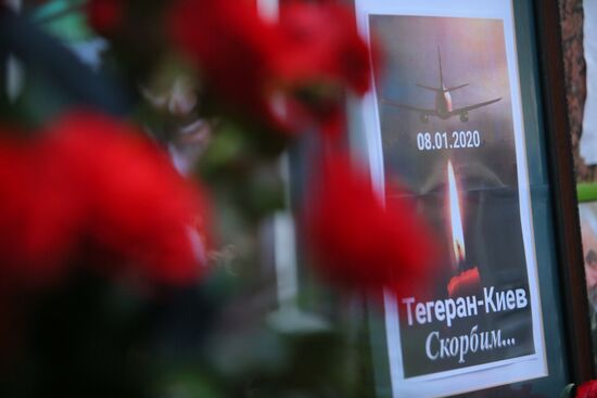 Ukraine Iran Plane Crash