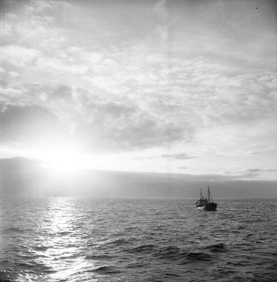Fishing industry in Barents Sea