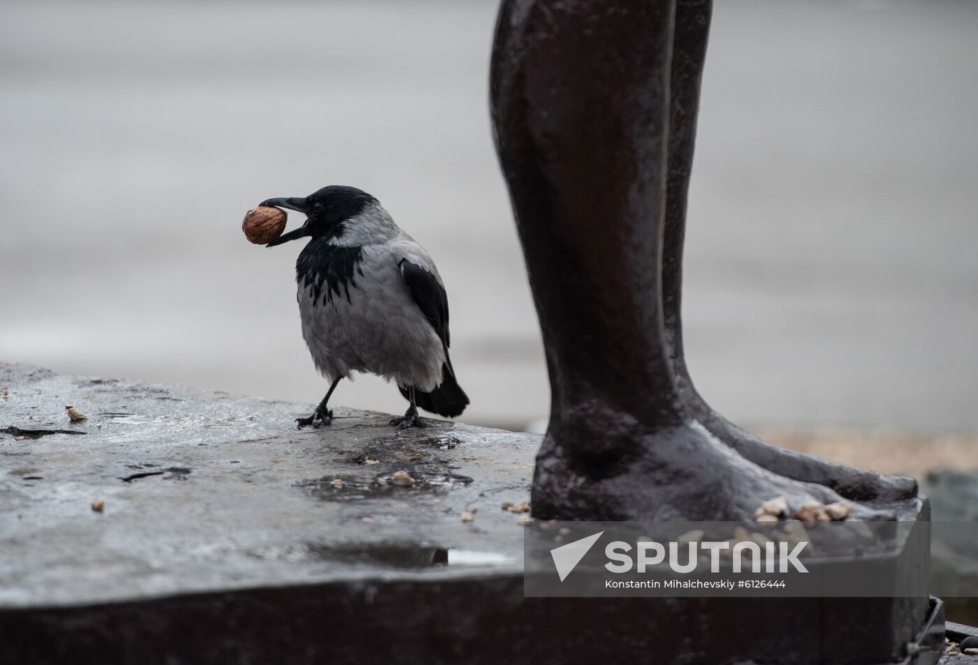 Russia Crimea Daily Life