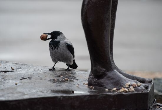 Russia Crimea Daily Life