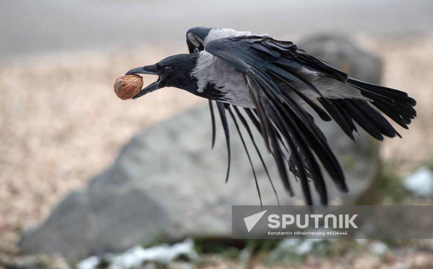Russia Crimea Daily Life