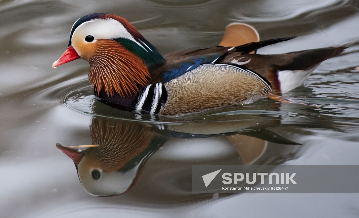 Russia Crimea Daily Life