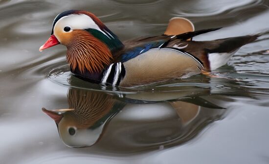 Russia Crimea Daily Life