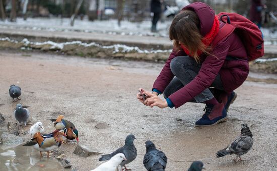 Russia Crimea Daily Life