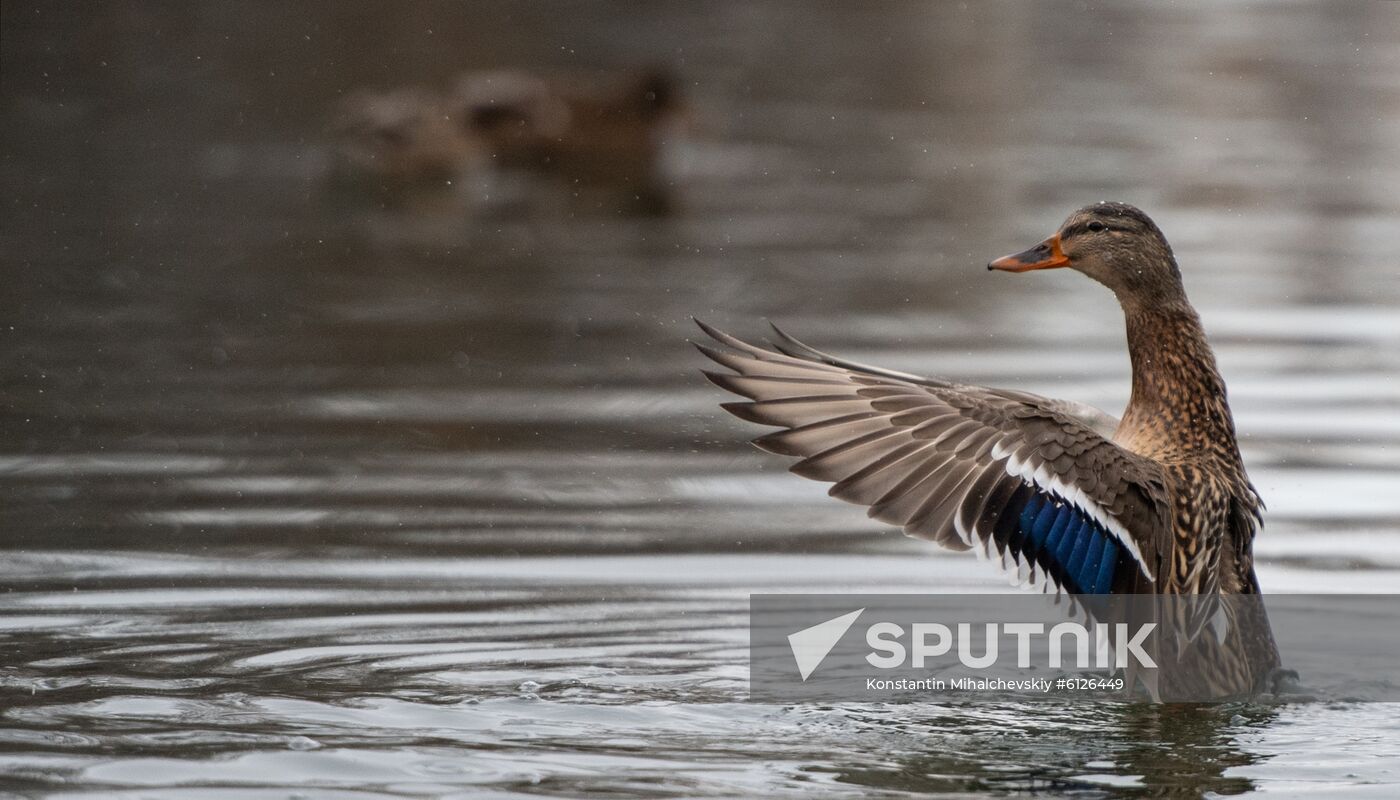 Russia Crimea Daily Life