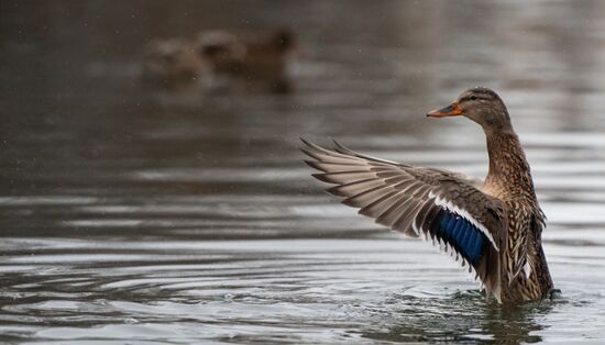 Russia Crimea Daily Life