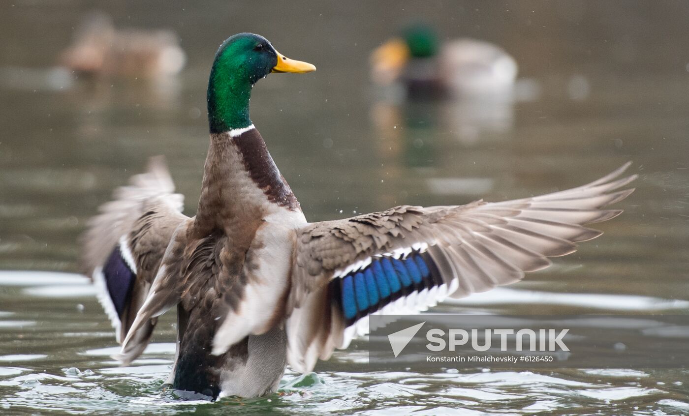 Russia Crimea Daily Life