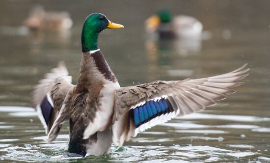 Russia Crimea Daily Life