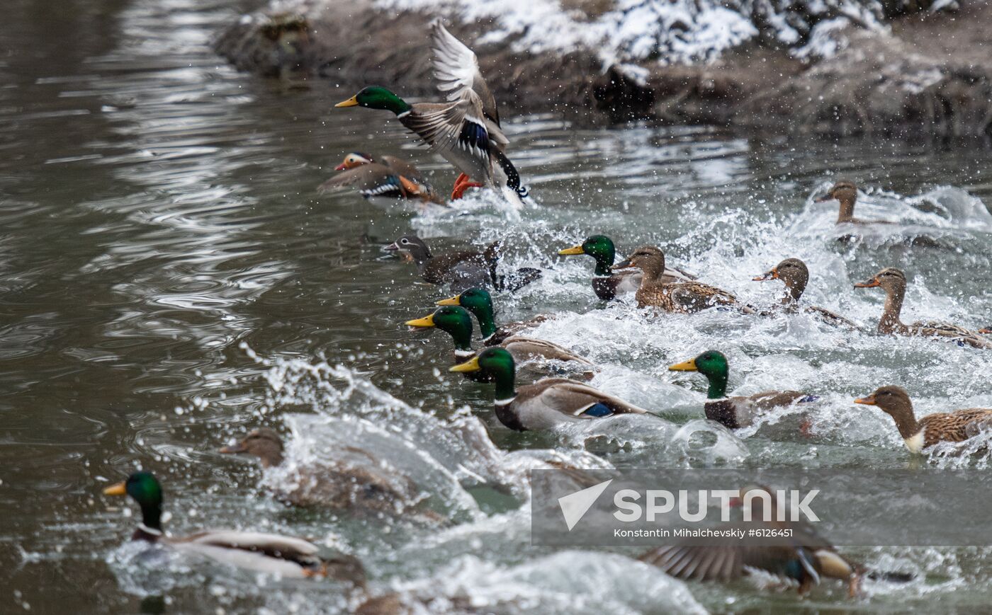 Russia Crimea Daily Life