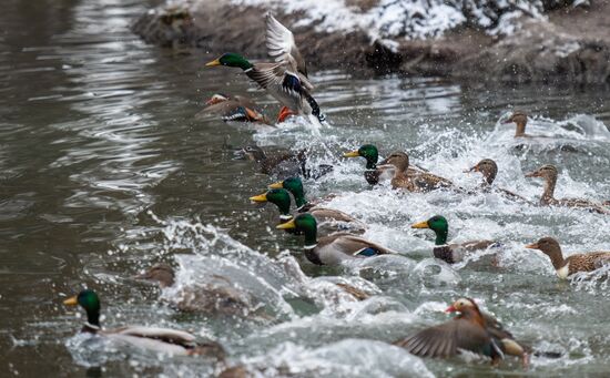 Russia Crimea Daily Life