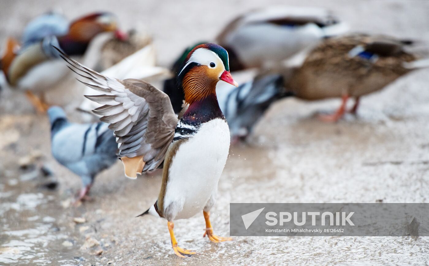 Russia Crimea Daily Life