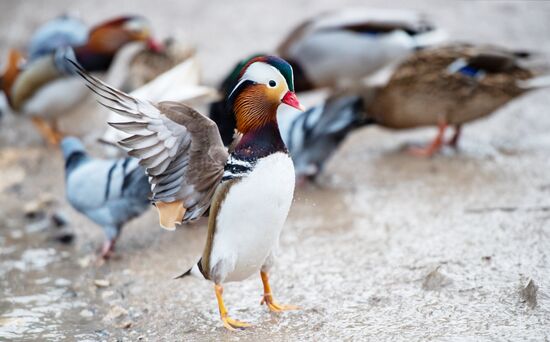 Russia Crimea Daily Life