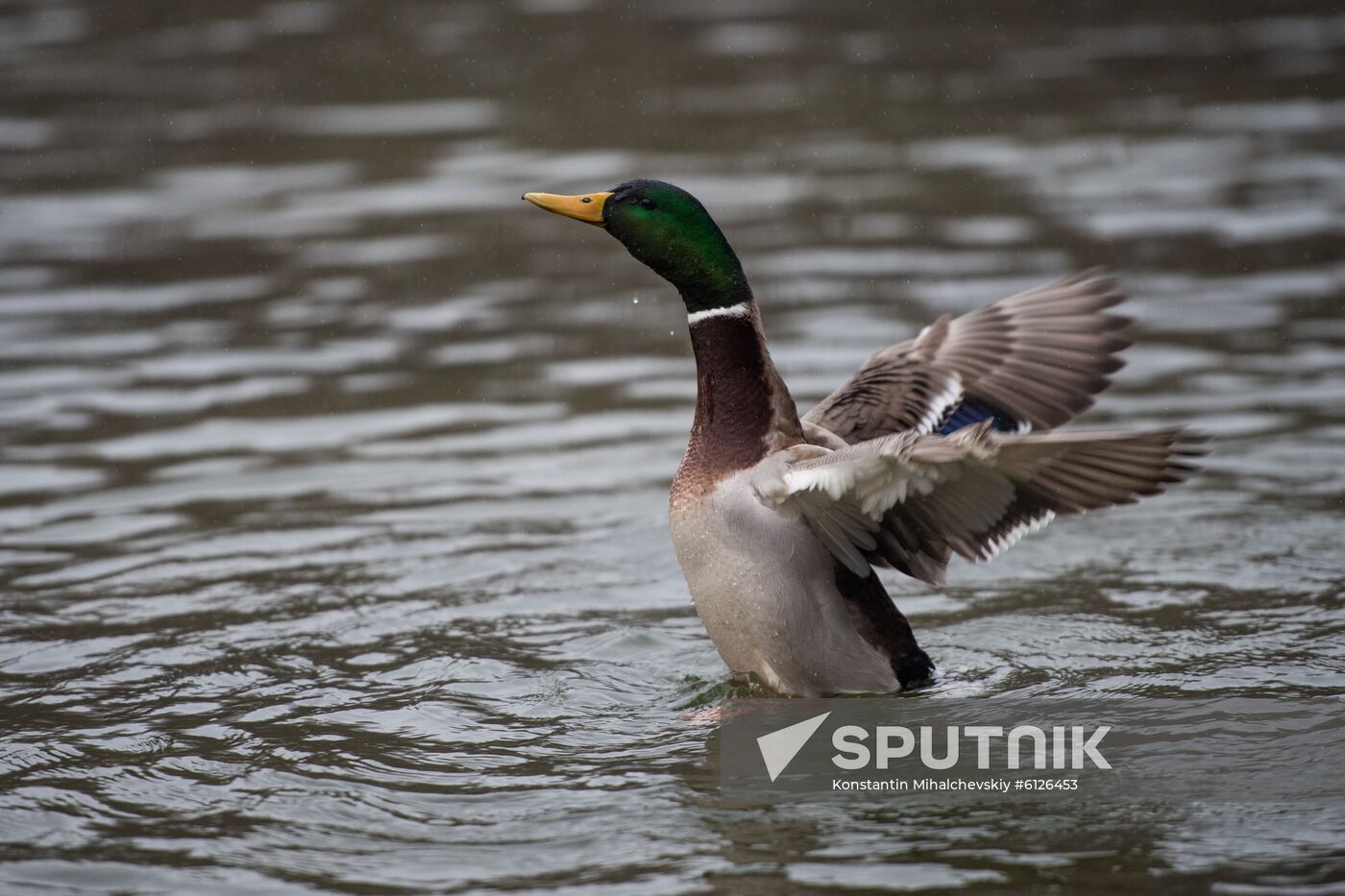 Russia Crimea Daily Life