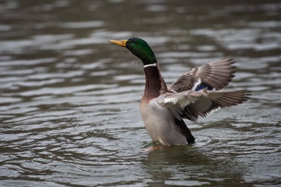 Russia Crimea Daily Life