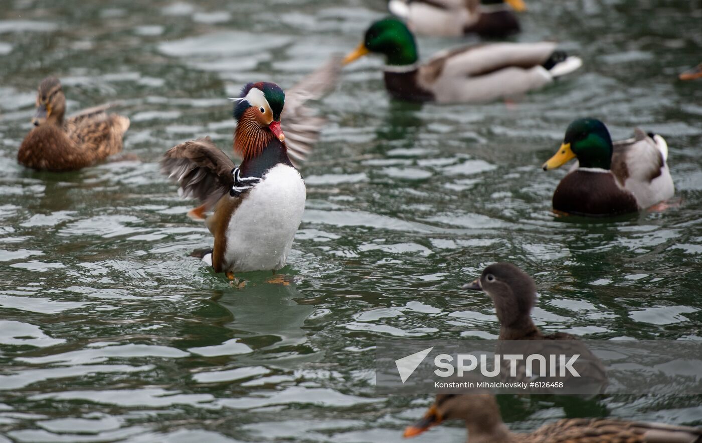 Russia Crimea Daily Life