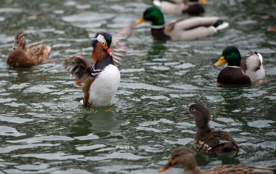Russia Crimea Daily Life