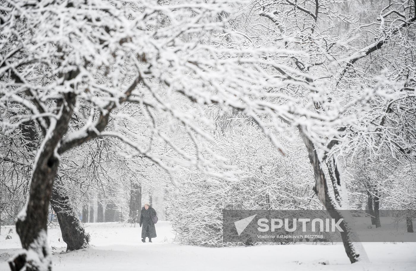 Russia Moscow Winter