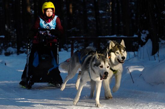 Russia Sled Dog Race