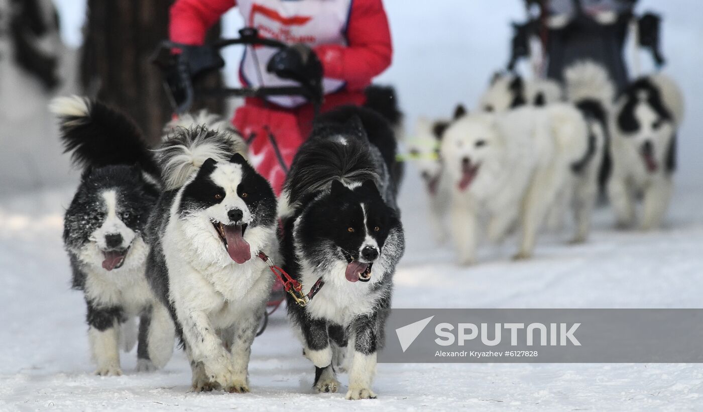 Russia Sled Dog Race