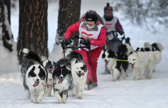 Russia Sled Dog Race