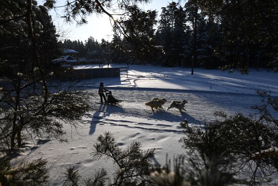 Russia Sled Dog Race