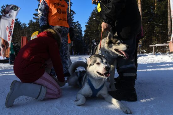 Russia Sled Dog Race