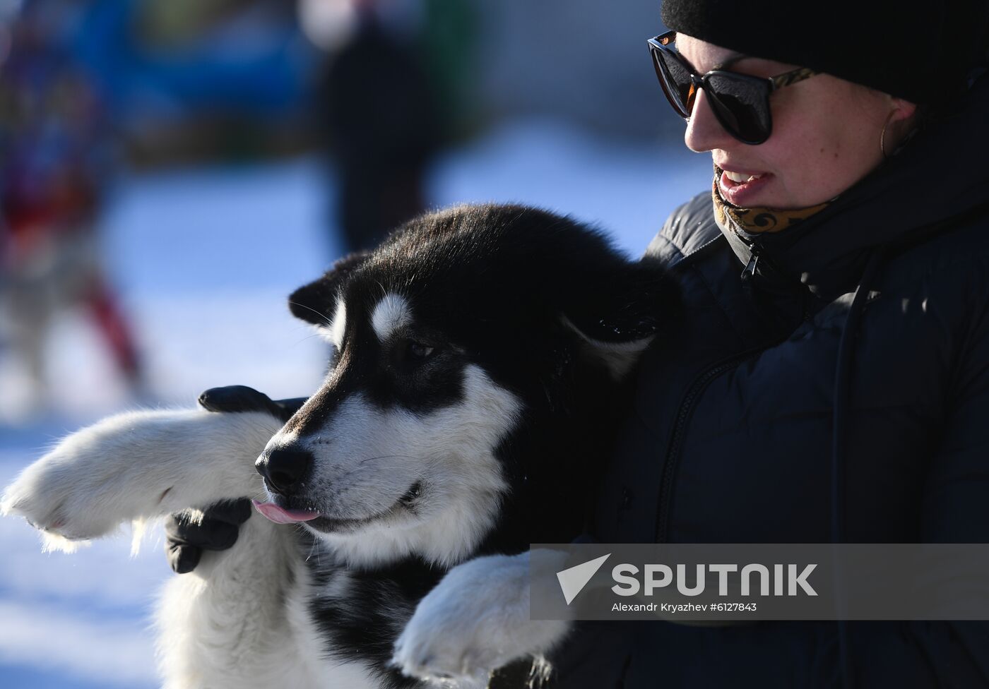 Russia Sled Dog Race