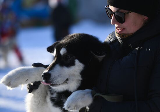 Russia Sled Dog Race