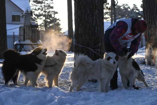 Russia Sled Dog Race