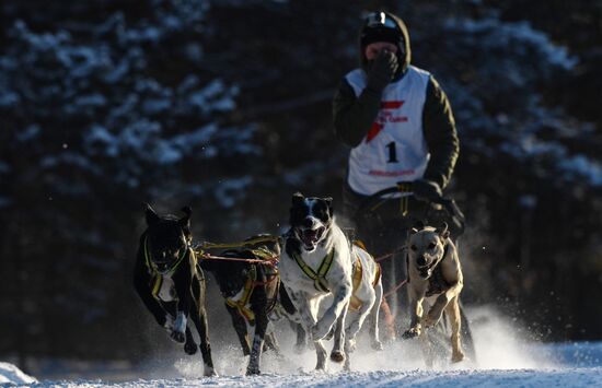 Russia Sled Dog Race