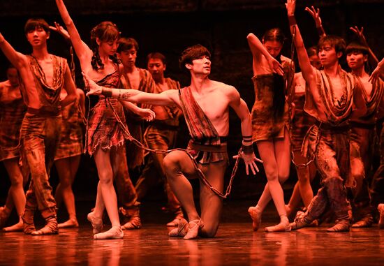 Russia Ballet Spartacus