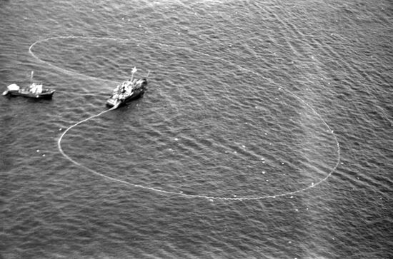 Fishing in Olyutorsky Bay of Bering Sea