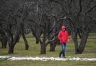 A man walks in Kolomenskoye park on a warm winter day, in Moscow, Russia. Location: Russia, Moscow. Author: Maksim Blinov/Sputnik. Russia Warm Weather
