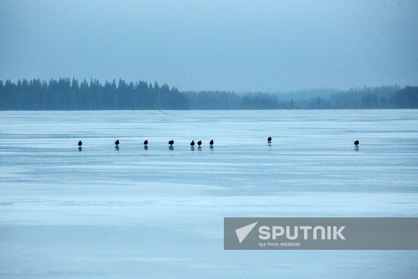 Russia Vodlozero National Park