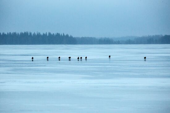 Russia Vodlozero National Park