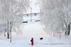 A woman plays with a dog under snow-covered trees on Mikhailovskaya embankment of the Ob River in Novosibirsk, Russia. Location: Russia, Novosibirsk. Author: Alexandr Kryazhev/Sputnik. Russia Winter