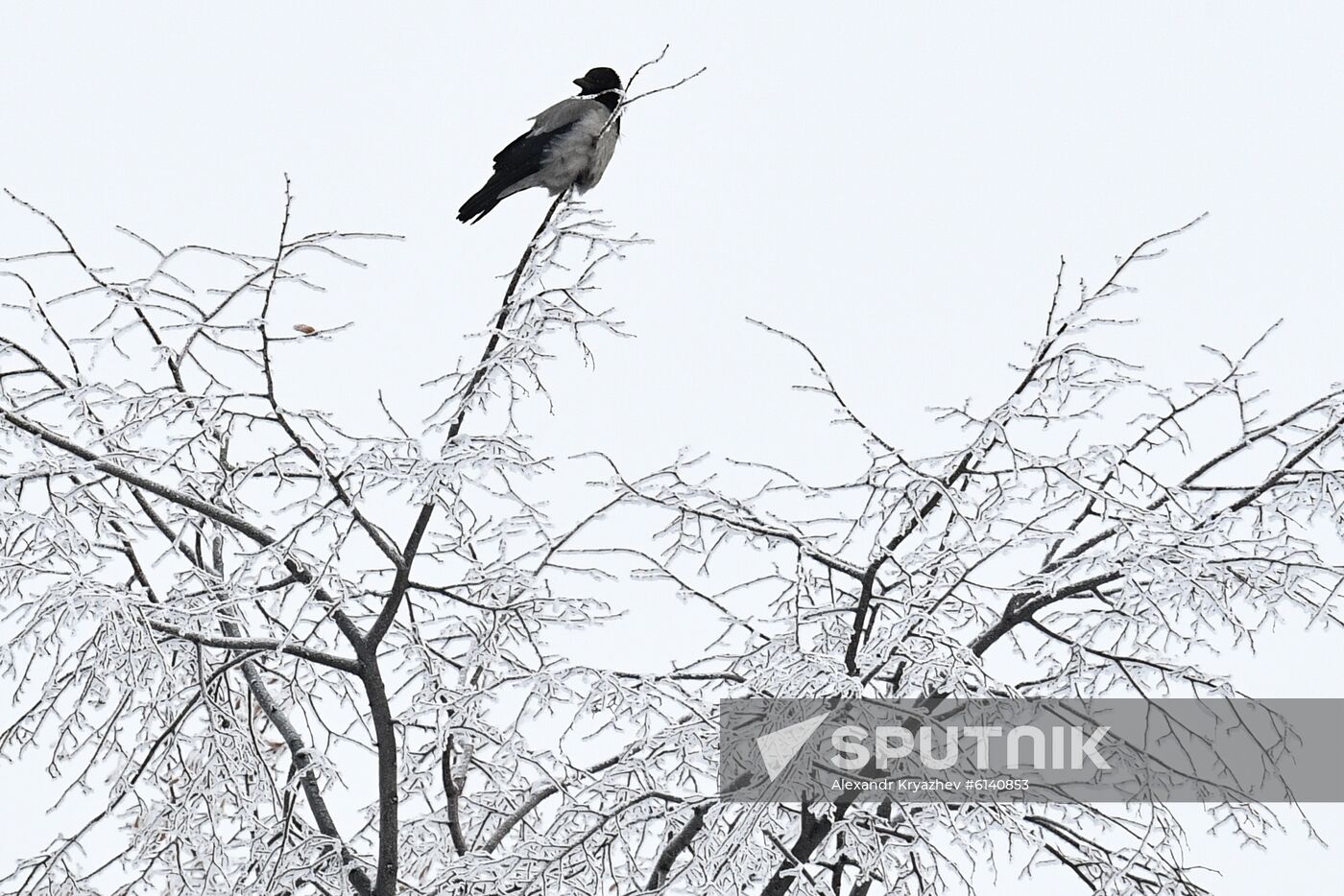 Russia Winter