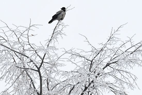 Russia Winter