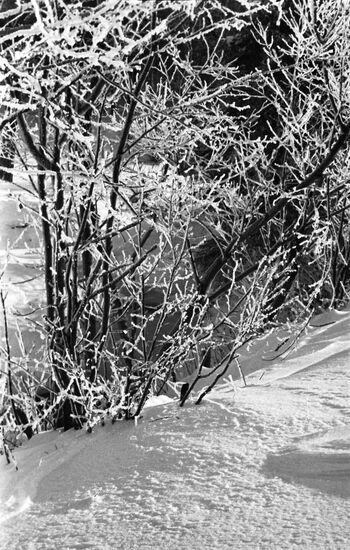 Winter outside Moscow
