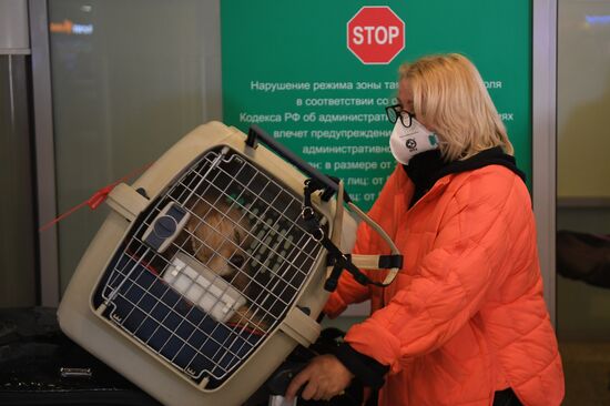 Russia New Coronavirus