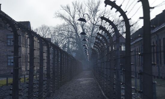 Poland Auschwitz Liberation Anniversary