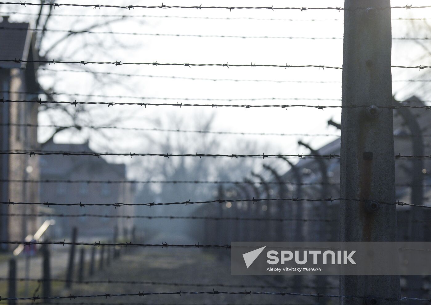 Poland Auschwitz Liberation Anniversary