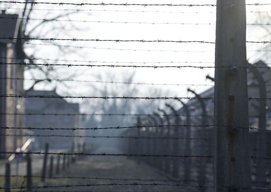 Poland Auschwitz Liberation Anniversary