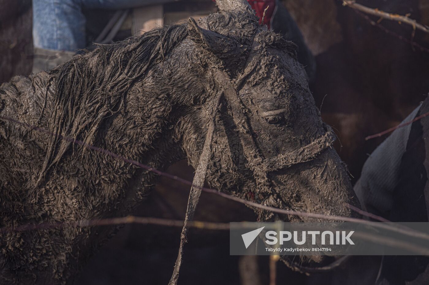 Kyrgyzstan Traditional Horse Game