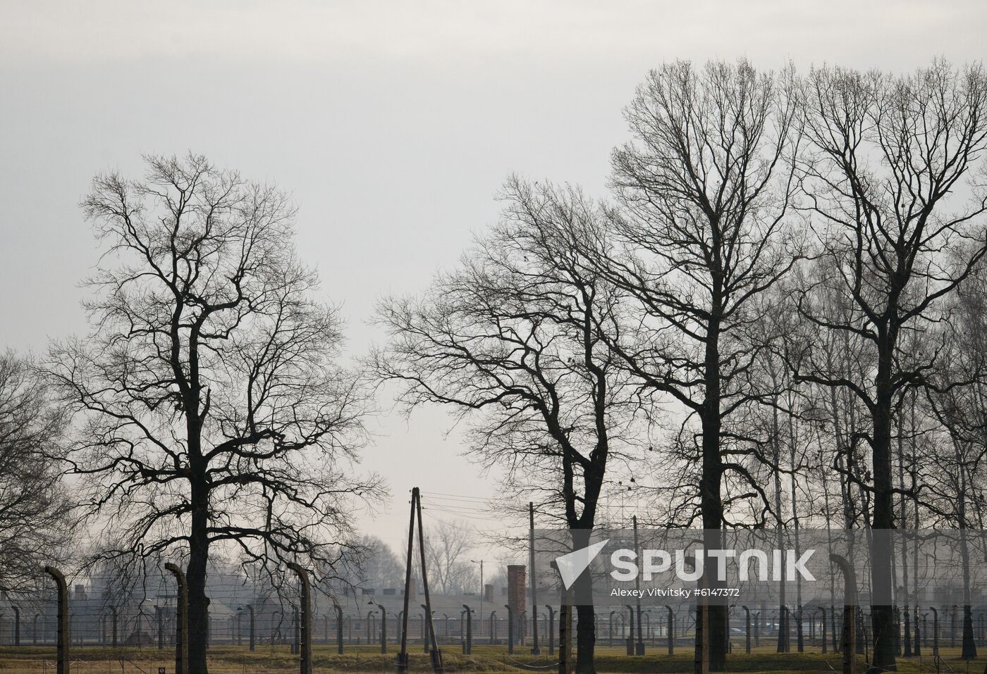 Poland Auschwitz Liberation Anniversary