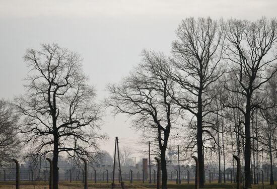 Poland Auschwitz Liberation Anniversary