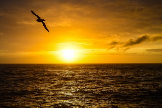 Antarctica Admiral Vladimirsky Expedition