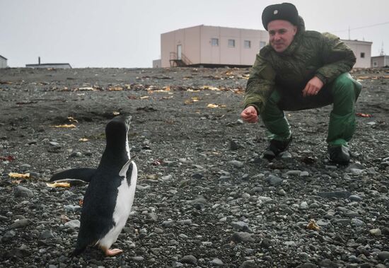 Antarctica Admiral Vladimirsky Expedition